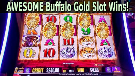 buffalo gold slot wins 2019|Buffalo Gold Slot .